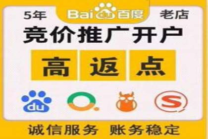 经典案例：专业SEM托管如何实现ROI最大化